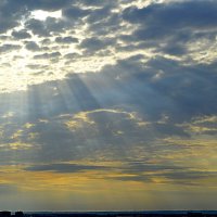 Пасмурное утро :: Татьяна Лютаева