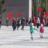 Митинг :: Андрей Макурин