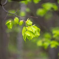 ___ :: Yuriy V ___ :: Yuriy V