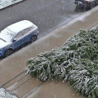 Выглянул в окно, а там снег :: Валерий Иванович
