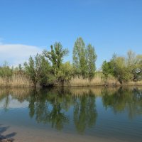 Тишина. :: Виктор 