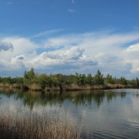 Вечер у реки. :: Виктор 