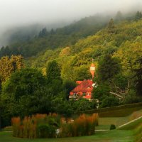 Утро :: Юрий. Шмаков