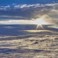 Тундра под Ямбургом :: Игорь Шабалин