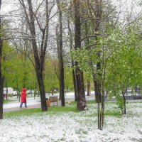 Май :: юрий поляков