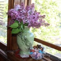 Май. :: Венера Чуйкова