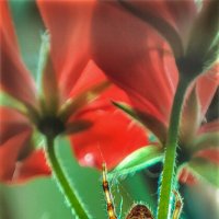 Ж :: AZ east3 Ж :: AZ east3