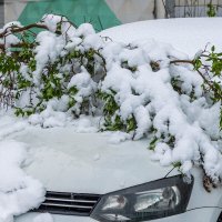 2 мая. :: Анатолий. Chesnavik. 2 мая. :: Анатолий. Chesnavik.