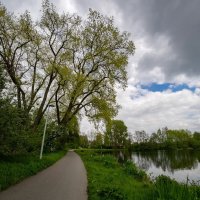 *** :: Николай Гирш