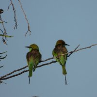 Щ :: Конрад Карлович Михельсон