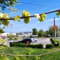 ,,, :: Сергей Тимоновский