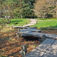 мостики :: ИРЭН@ .