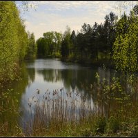Озеро весной :: Aleksandr Gal