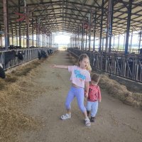Том первый раз на ферме :: Светлана Хращевская