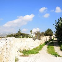 Солнечный день :: Oleg4618 Шутченко Солнечный день :: Oleg4618 Шутченко