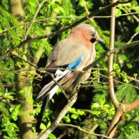 Задумалась... :: Андрей Снегерёв Задумалась... :: Андрей Снегерёв