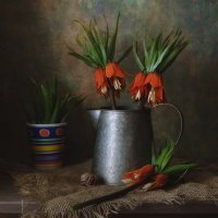с рябчиками... :: Natali-C C