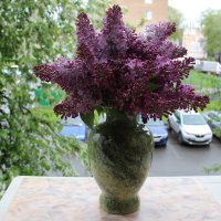 Май. :: Венера Чуйкова