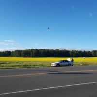 Ощущение свободы :: Дмитрий Петров