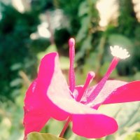 111 (80) :: СТРЕН 