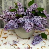 Букет сирени! :: Нина Андронова