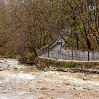 *** :: Дмитрий Лупандин *** :: Дмитрий Лупандин