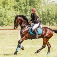 Конкур :: SanSan 