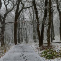 Пороша......... :: Юрий Цыплятников