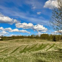 Spring 030525 :: Arturs Ancans