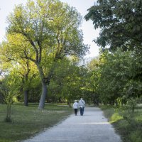Двое в ботаническом  саду :: Валентин Семчишин