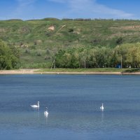 Городское водохранилище :: Игорь Сикорский