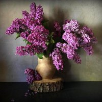 А нам бы цветами любоваться ....! Да Всем Миром в Мире Жить .... ! :: TAMARA КАДАНОВА