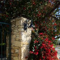 Ограда, фонарь, бугенвиллея :: Oleg4618 Шутченко