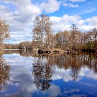 Апрельские пейзажи. :: Лия ☼
