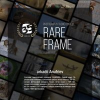 Итоги 2024 :: arkadii Итоги 2024 :: arkadii