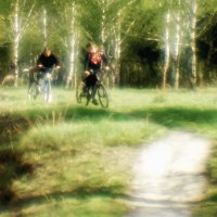 Мальчишки :: Сергей Царёв Мальчишки :: Сергей Царёв