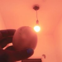 111 (81) :: СТРЕН 