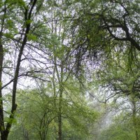 Прогулки в любую погоду... :: Referee (Дмитрий)