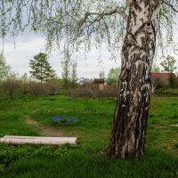 На прогулке :: Петр 