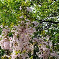 (°♤°) :: Фёдор Меркурьев (°♤°) :: Фёдор Меркурьев