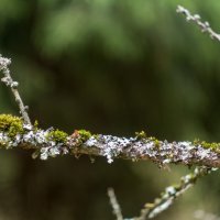 ___ :: Yuriy V