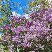 ,,, :: Сергей Тимоновский