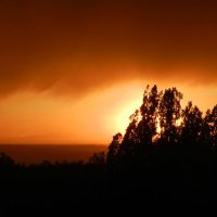 закатное :: Лера 