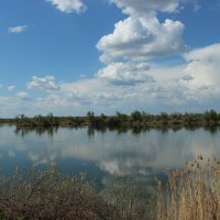 Местные виды. :: Виктор 