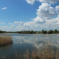 Дон. :: Виктор 