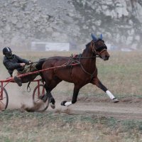 *** :: владимир 