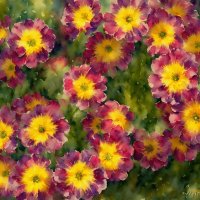 На весеннем солнышке… :: Freddy 97