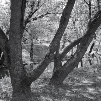 ***** :: юрий поляков ***** :: юрий поляков