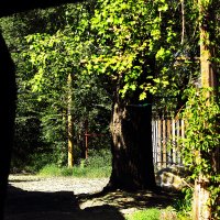 Старый двор :: Юрий Гайворонскiий