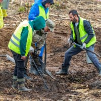 Что - то зазвенело. :: Анатолий. Chesnavik.